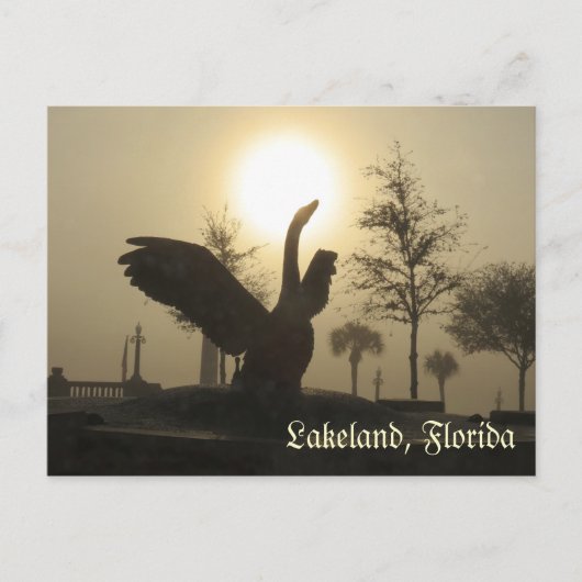 Swan Silhouette Lakeland Florida Briefkaart (Voorkant)