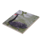 Swan Small (4,25 x 4,25 inch) Keramische foto's Tegeltje (Zijkant)