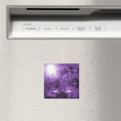 Swan Song Magnet (Insitu (Vaatwasser))