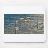 Swan Song Muismat (Voorkant)