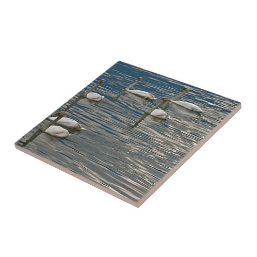 Swan Song Tegeltje (Zijkant)