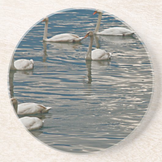 Swan Song Zandsteen Onderzetter (Voorkant)