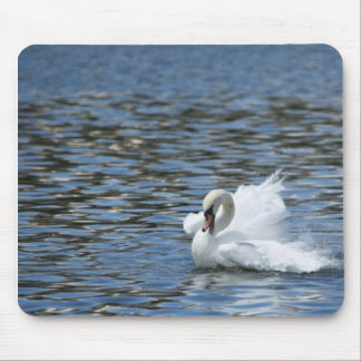 Swan Splashing in het water Muismat