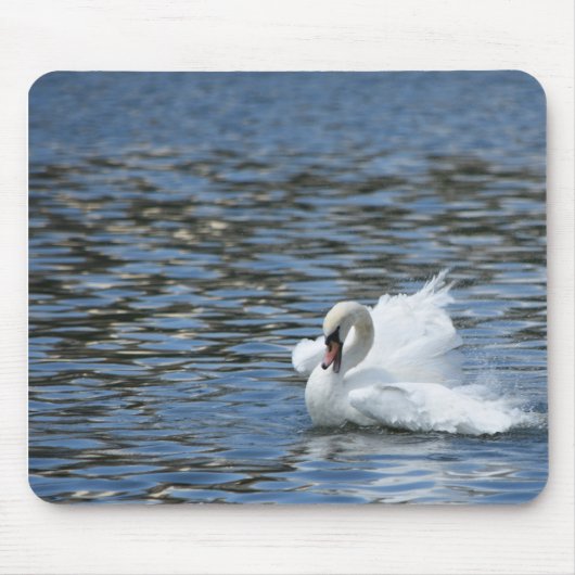 Swan Splashing in het water Muismat (Voorkant)