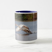 Swan Staroff, Wild Bird Foto Mok (Midden)