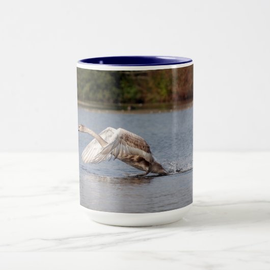 Swan Staroff, Wild Bird Foto Mok (Midden)