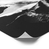 Swan Swimming Black en White Poster (Hoek)