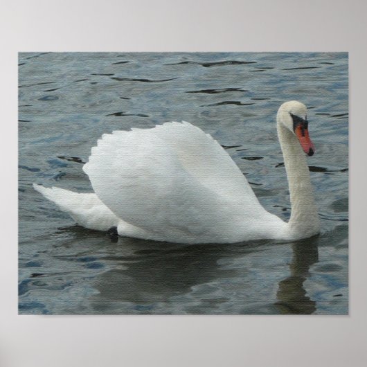 Swan Swimming Print (Voorkant)