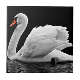 Swan Tegeltje