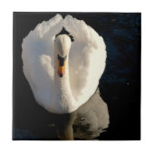 Swan Tegeltje (Voorkant)