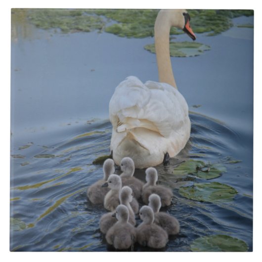 Swan Tegeltje (Voorkant)
