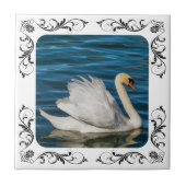 SWAN TEGELTJE (Voorkant)