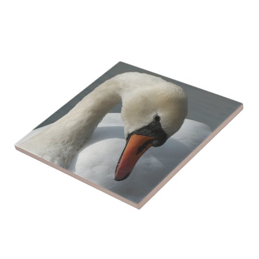 Swan Tegeltje (Zijkant)
