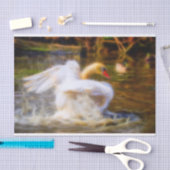 Swan Tissue Paper Tissuepapier (Craft)