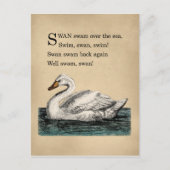  Swan Tongue Twister Briefkaart (Voorkant)