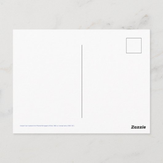 Swan - traditioneel Japans Briefkaart (Achterkant)