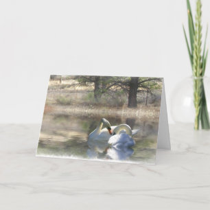 Swan Wedding Gefeliciteerd Kaart