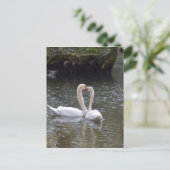Swan Wedding Love Peace Hope Water Lake Park Briefkaart (Staand voorkant)