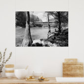 Swann Bridge Poster (Keuken)