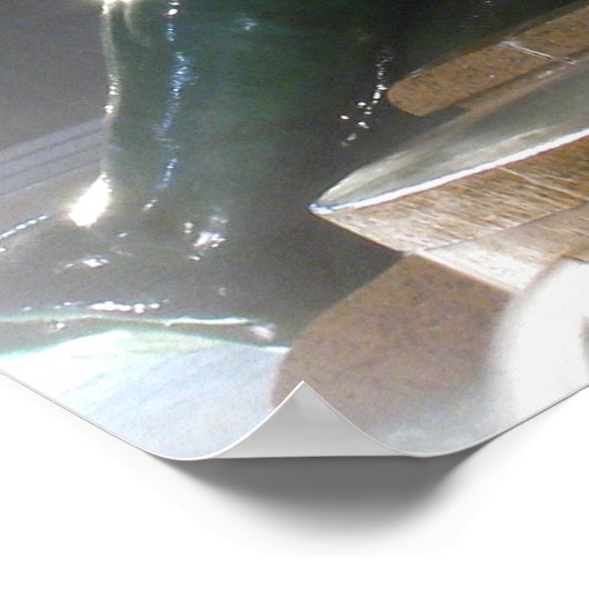 Swann Fountain met City Hall Print (Hoek)