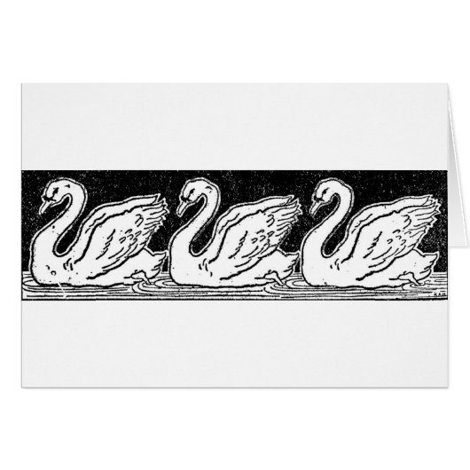 Swans (Voorkant Horizontaal)