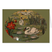 Swans (Voorkant Horizontaal)