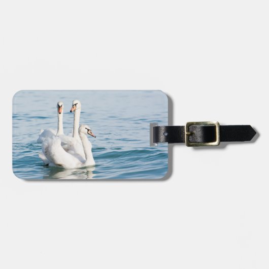 Swans Bagagelabel (Voorkant horizontaal)