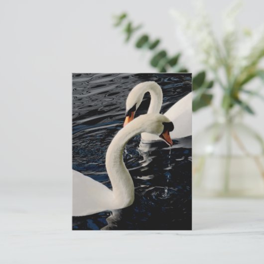 Swans Briefkaart (Staand voorkant)