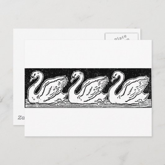 Swans Briefkaart (Voorkant / Achterkant)