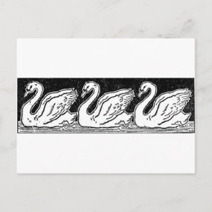 Swans Briefkaart