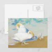 SWANS BRIEFKAART (Voorkant / Achterkant)
