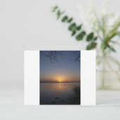 Swans Briefkaart (Staand voorkant)