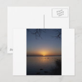 Swans Briefkaart (Voorkant / Achterkant)