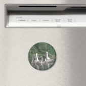 SWans en cygnets Magnet (Insitu (Vaatwasser))