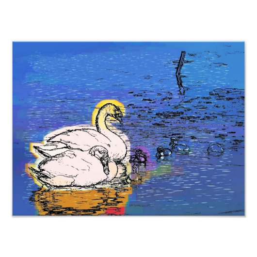 SWANS FOTO AFDRUK (Voorkant)