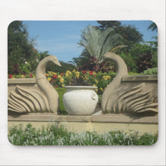 Swans Guarding Hollis Gardens Muismat