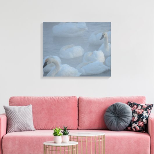 Swans in Morning Fog - Wilde Fotografie Canvas Afdruk (Insitu (Woonkamer))