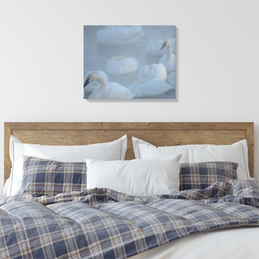 Swans in Morning Fog - Wilde Fotografie Canvas Afdruk (Insitu (Slaapkamer))