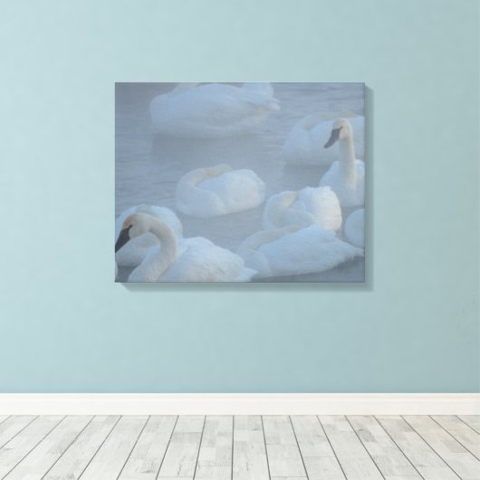 Swans in Morning Fog - Wilde Fotografie Canvas Afdruk (Insitu (Houten vloer))