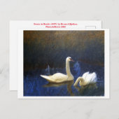 Swans in Reeds (1907) door Bruno Liljefors Briefkaart (Voorkant / Achterkant)