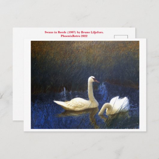 Swans in Reeds (1907) door Bruno Liljefors Briefkaart (Voorkant / Achterkant)