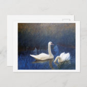 Swans in Reeds, Bruno Liljefors Briefkaart (Voorkant / Achterkant)