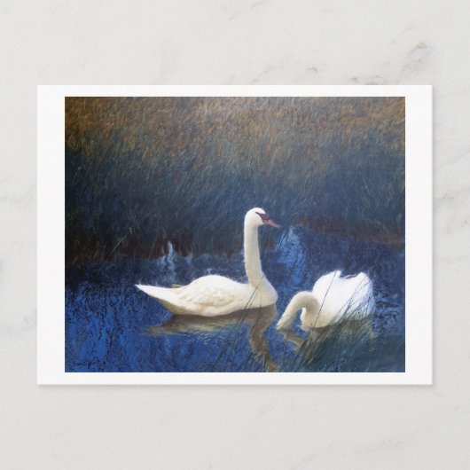 Swans in Reeds, Bruno Liljefors Briefkaart (Voorkant)