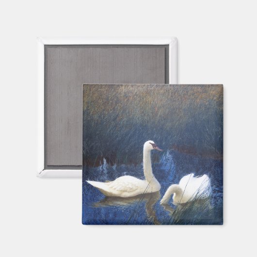 Swans in Reeds, Bruno Liljefors Magneet (Voorkant / Achterkant)
