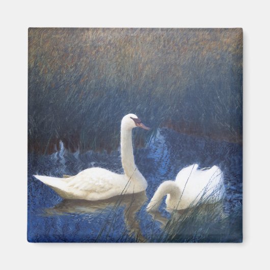 Swans in Reeds, Bruno Liljefors Magneet (Voorkant)