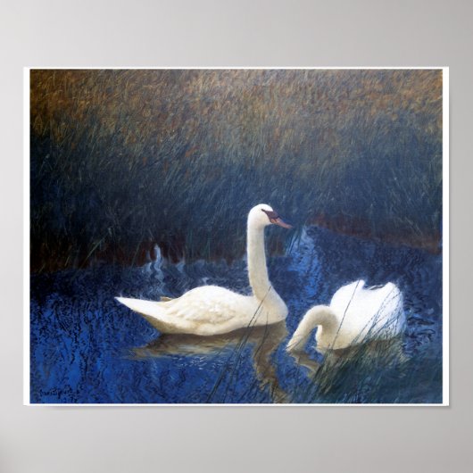 Swans in Reeds, Bruno Liljefors Poster (Voorkant)