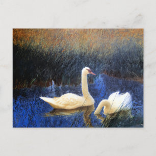Swans in Reeds door Bruno Liljefors Briefkaart