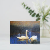 Swans in Reeds door Bruno Liljefors Briefkaart (Staand voorkant)