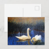 Swans in Reeds door Bruno Liljefors Briefkaart (Voorkant / Achterkant)