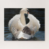 Swans Jigzaag Puzzle Legpuzzel (Horizontaal)